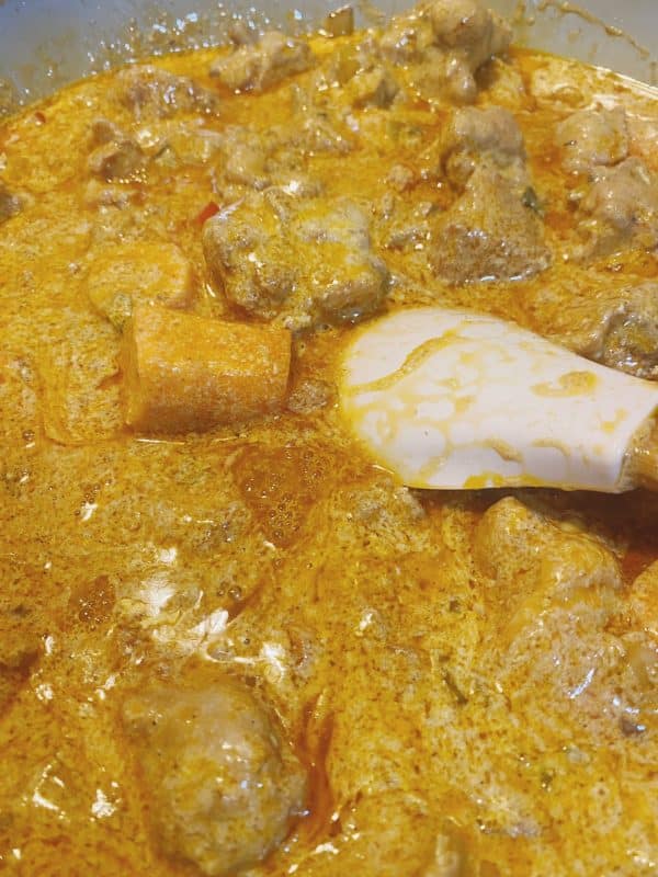 Chicken curry simmering gently with water and spices